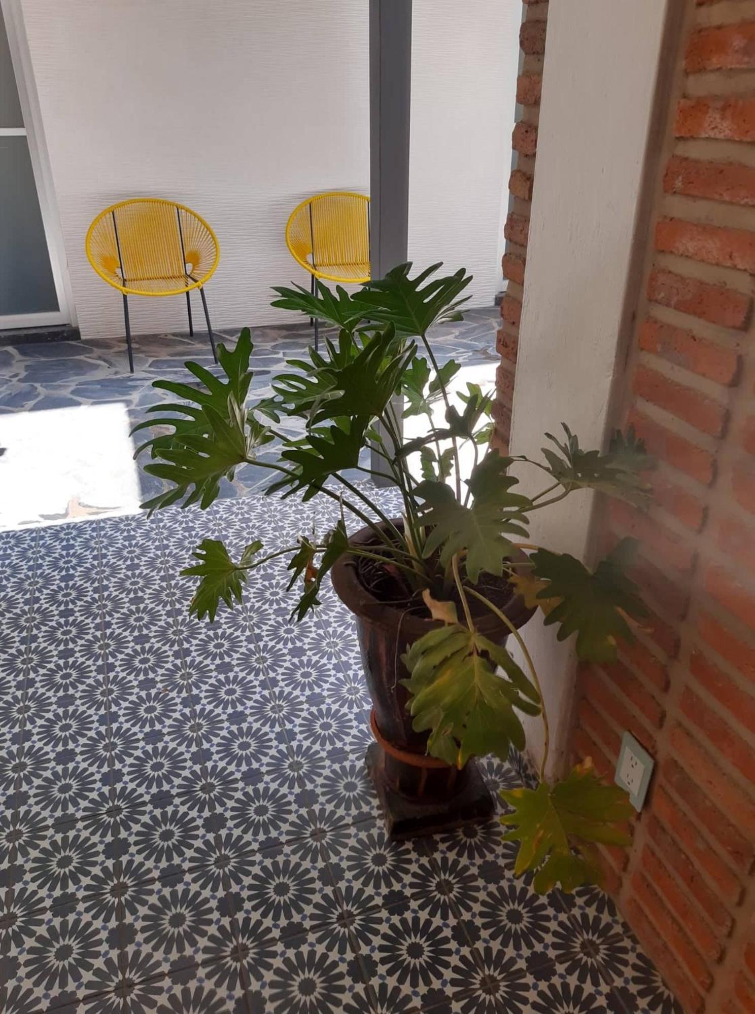 Estudio #5 Casa Fatima, 8 Min Del Centro 1 Persona Guadalajara Eksteriør bilde